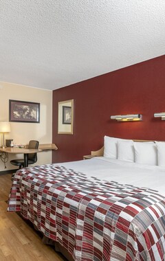 Hotel Red Roof Inn Tampa Fairgrounds - Casino (Tampa, EE. UU.)