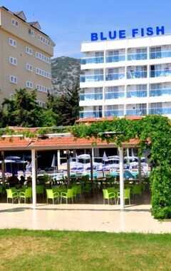 Hotel Blue Fish (Konakli, Turquía)