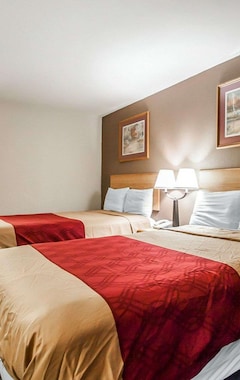 Hotel Econo Lodge Inn And Suites - Jackson (Jackson, EE. UU.)