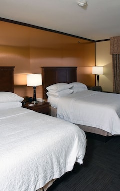 Hotel Hampton Inn Seguin (Seguin, USA)