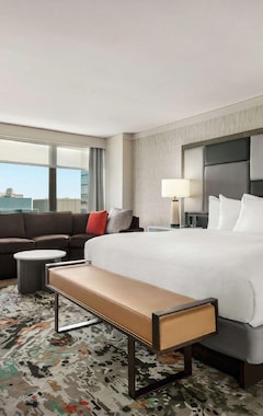 Hotel Hilton Grand Vacations Chicago Downtown Magnificent Mile (Chicago, USA)