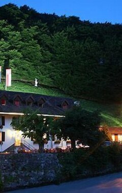 Historic Hotel Steinbock (Gsteigwiler, Suiza)