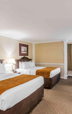 Hotelli Comfort Inn & Suites Plattsburgh (Plattsburgh, Amerikan Yhdysvallat)