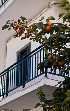 Hele huset/lejligheden Lito Βudget (Kokkari, Grækenland)