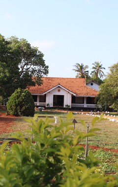 Koko talo/asunto The Margosa Villa (Jaffna, Sri Lanka)