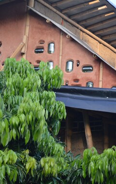 Casa/apartamento entero Casa Bambú - Amplia Y Acogedora, Ubicada Dentro De Una Granja Ecológica (Colipa, México)