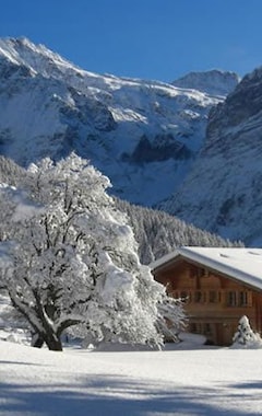 Hotel Eigerblick (Grindelwald, Suiza)