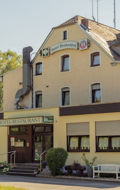Hotel Waldschloss (Bad Camberg, Alemania)