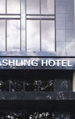 Hotelli Ashling Hotel Dublin (Dublin, Irlanti)