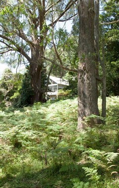 Koko talo/asunto Yarrawa Hill - Art Lovers Retreat With Bush & Ocean Views (Robertson, Australia)