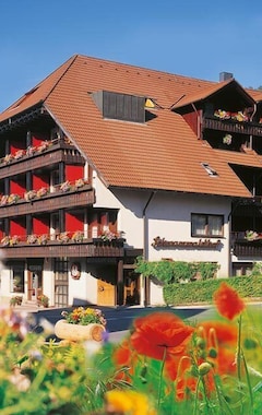 Land-gut-Hotel Schwarzwaldhof (Enzklösterle, Alemania)