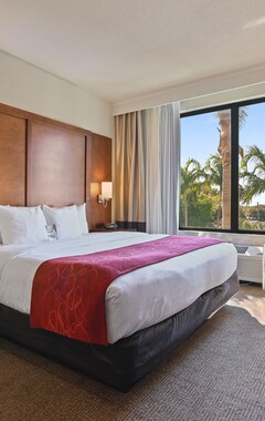 Hotel Comfort Suites Miami - Kendall (Miami, USA)