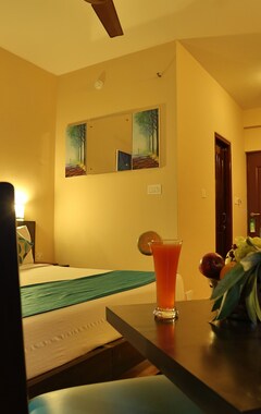 Hotel Misty Mountain Resort (Munnar, India)