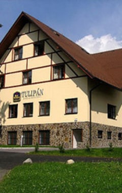 Hotel Tulipan (Vysoké Tatry, Slovakiet)