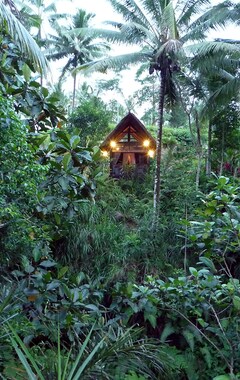 Hotel The Kingfisher At Jendela Di Bali | A Romantic Retreat In The Hills Near Ubud (Bangli, Indonesien)