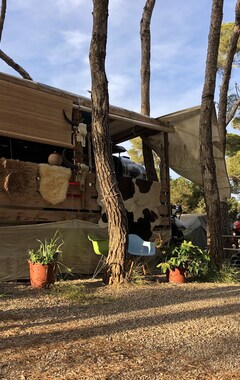 Koko talo/asunto Vintage Prisoner Camper Ibiza (Santa Eulalia, Espanja)