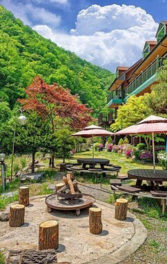 Hotel Hongcheon Dain Pension (Hongcheon, Corea del Sur)