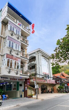 Oyo 393 Xuan Thuy Hotel (Vung Tau, Vietnam)