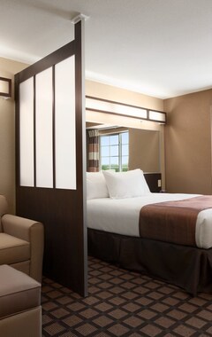 Hotel Microtel Inn & Suites Pleasanton (Pleasanton, USA)