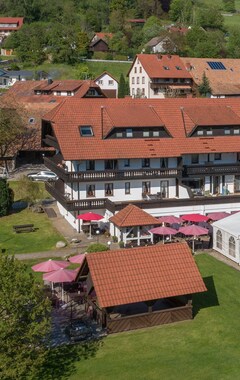 Hotel Zum fröhlichen Landmann (Steinen Kr. Lörrach, Alemania)