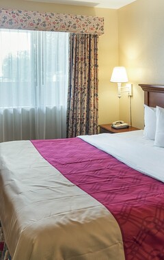 Hotelli Econo Lodge Inn & Suites Six Flags Arlington (Arlington, Amerikan Yhdysvallat)