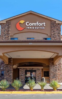 Hotel Comfort Inn & Suites Page At Lake Powell (Page, EE. UU.)
