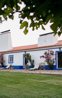 Koko talo/asunto Sunset Orange Villa, Wifi, Terrace, Swimming Pool (Sousel, Portugali)