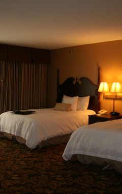 Hotel Hampton Inn & Suites Del Rio (Del Rio, EE. UU.)