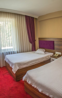 Hotel Buyuk Amasya (Amasya, Turquía)
