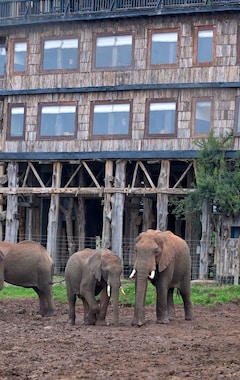 Hotel Treetops Lodge (Nyeri, Kenia)