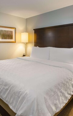 Hotel Sonesta ES Suites Orlando - Lake Buena Vista (Lake Buena Vista, EE. UU.)