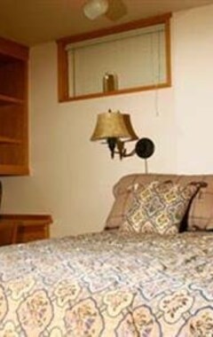 Bed & Breakfast Willow Pond Satellite B&B (Port Perry, Canada)