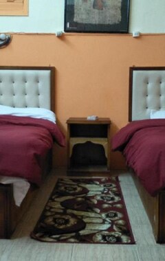 Hostel / vandrehjem New Palace Hotel (Cairo, Egypten)