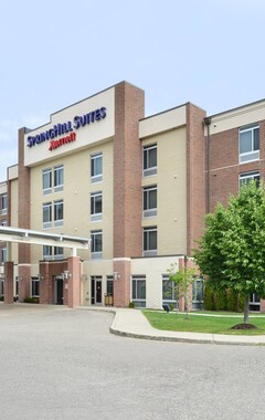 Hotel Springhill Suites by Marriott Detroit Metro Airport Romulus (Romulus, USA)