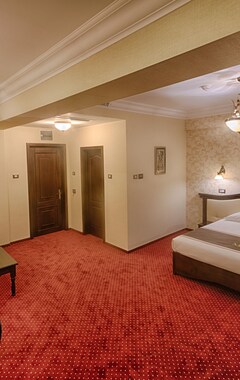 Magus Hotel (Baia Mare, Rumanía)