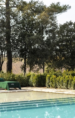 Casa rural Exclusive Wine Resort - Villa Dianella (Vinci, Italia)