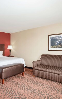 Hotel Hampton Inn And Suites Denver/South-Ridgegate (Lone Tree, EE. UU.)