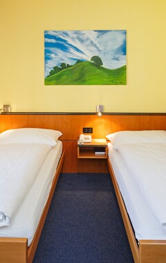 Hotelli Hotel Aarehof (Wildegg, Sveitsi)