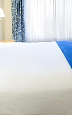 Hotel Holiday Inn Express & Suites Jacksonville - Blount Island (Jacksonville, EE. UU.)