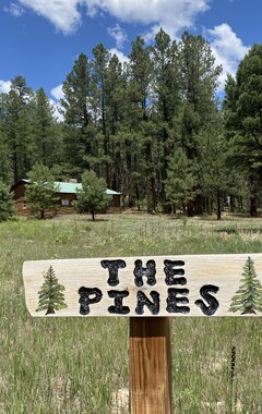 Koko talo/asunto The Pines' Is The Perfect Log Cabin Getaway In The Beautiful Jemez Mtns. (Jemez Springs, Amerikan Yhdysvallat)