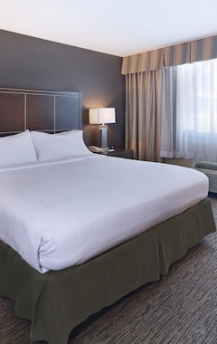 Holiday Inn Hotel & Suites Anaheim, An Ihg Hotel (Anaheim, USA)