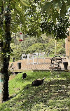 Hele huset/lejligheden Casa Finca Bosque De Fizebad (El Retiro, Colombia)