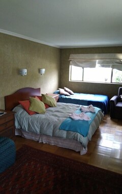 Hotelli Blumenhaus Bed&Breakfast (Santiago, Chile)