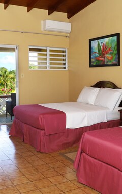 Hotelli Hotel Cortsland (St. John´s, Antigua ja Barbuda)