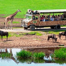 Serengeti-Safari-Lodges