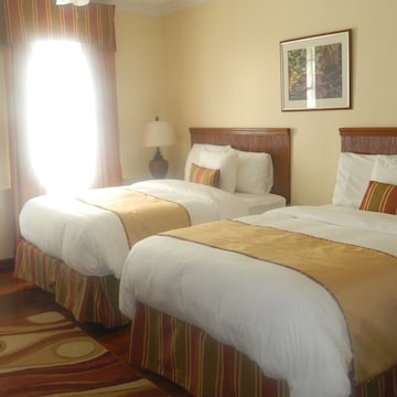 Executive Twin Room, 2 Double Beds