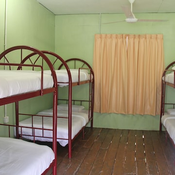 Shared Dormitory, Mixed Dorm