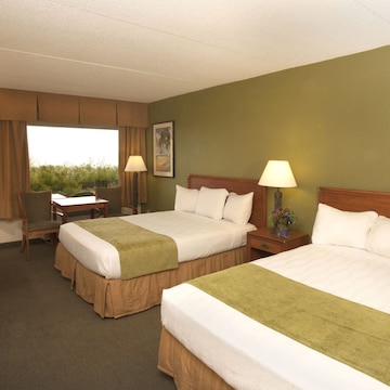 Standard Room - Waterpark Passes not included and subject to availability