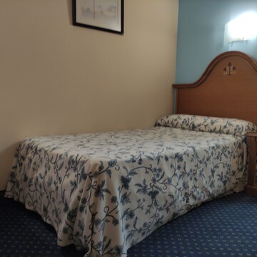 Room, 1 Twin Bed