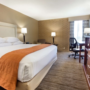 Deluxe Room, 1 King Bed, Accessible, Refrigerator & Microwave (Roll in Shower)